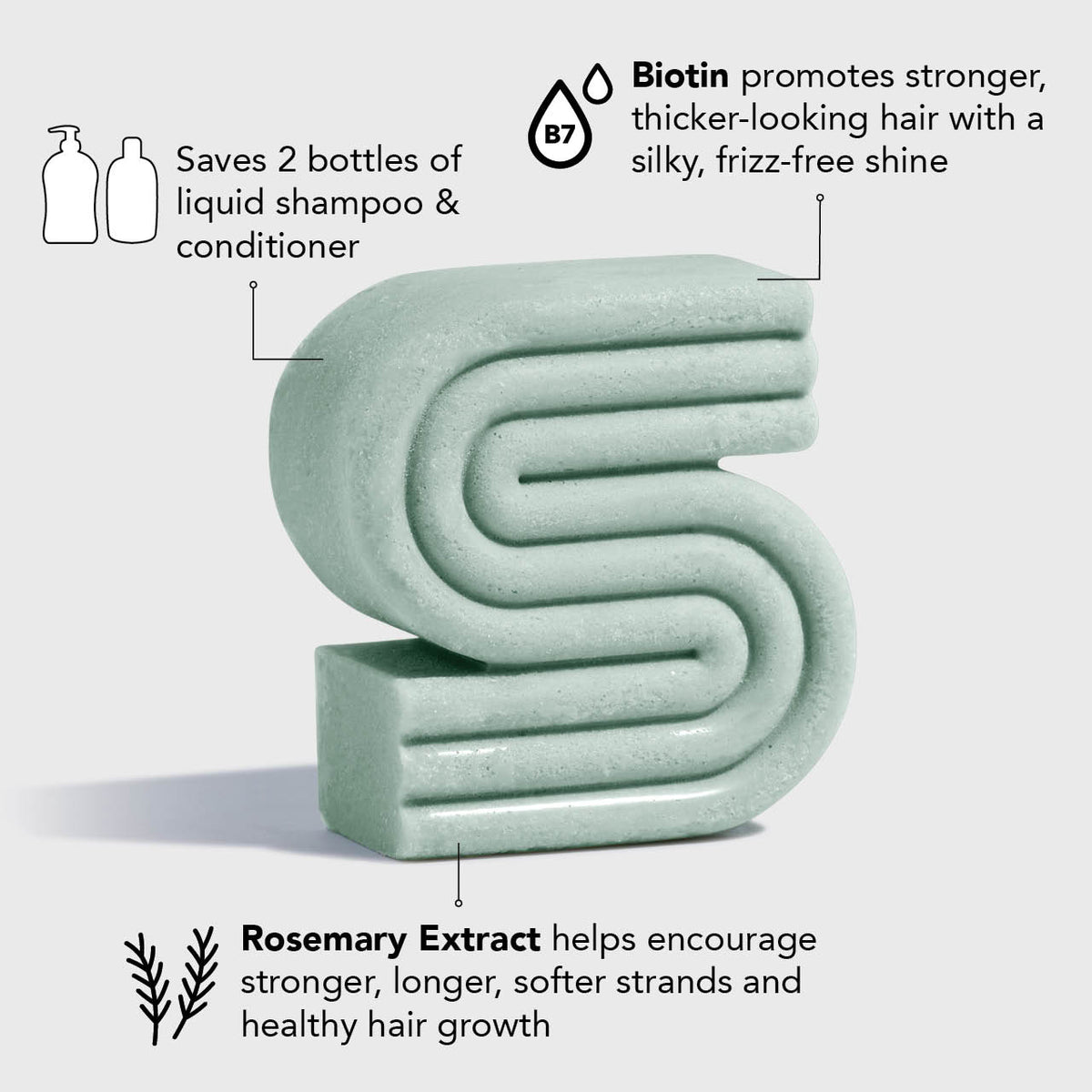 Rosemary & Biotin Volumizing Shampoo & Conditioner Combo KITSCH